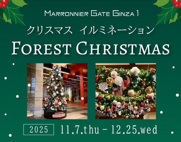 【マロニエゲート銀座1】 クリスマスイルミネーション『Forest Christmas』