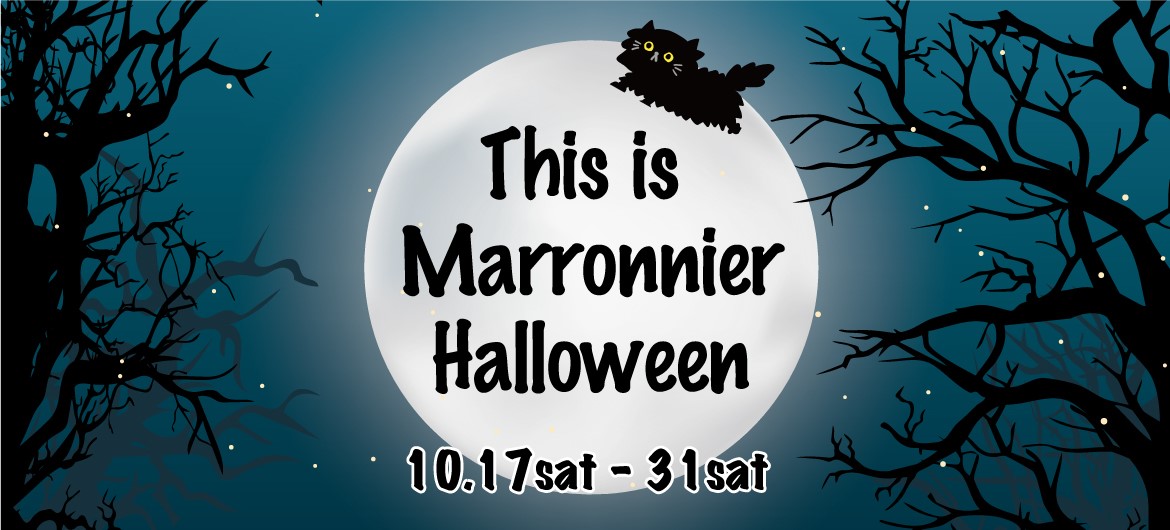 【マロニエゲート銀座３】第74回中央区観光商業まつり ハッピーハロウィンウィーク 『This is マロニエハロウィン2026』