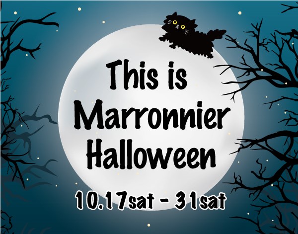 【マロニエゲート銀座３】第74回中央区観光商業まつり ハッピーハロウィンウィーク 『This is マロニエハロウィン2026』