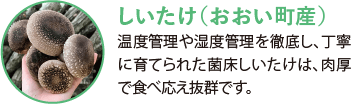 しいたけ（おおい町産）。温度管理や湿度管理を徹底し、丁寧に育てられた菌床しいたけは、肉厚で食べ応え抜群です。