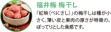 福井梅 梅干し。「紅映（べにさし）」の梅干しは種が小さく、薄い皮と果肉の厚さが特徴の、ぽってりとした食感です。